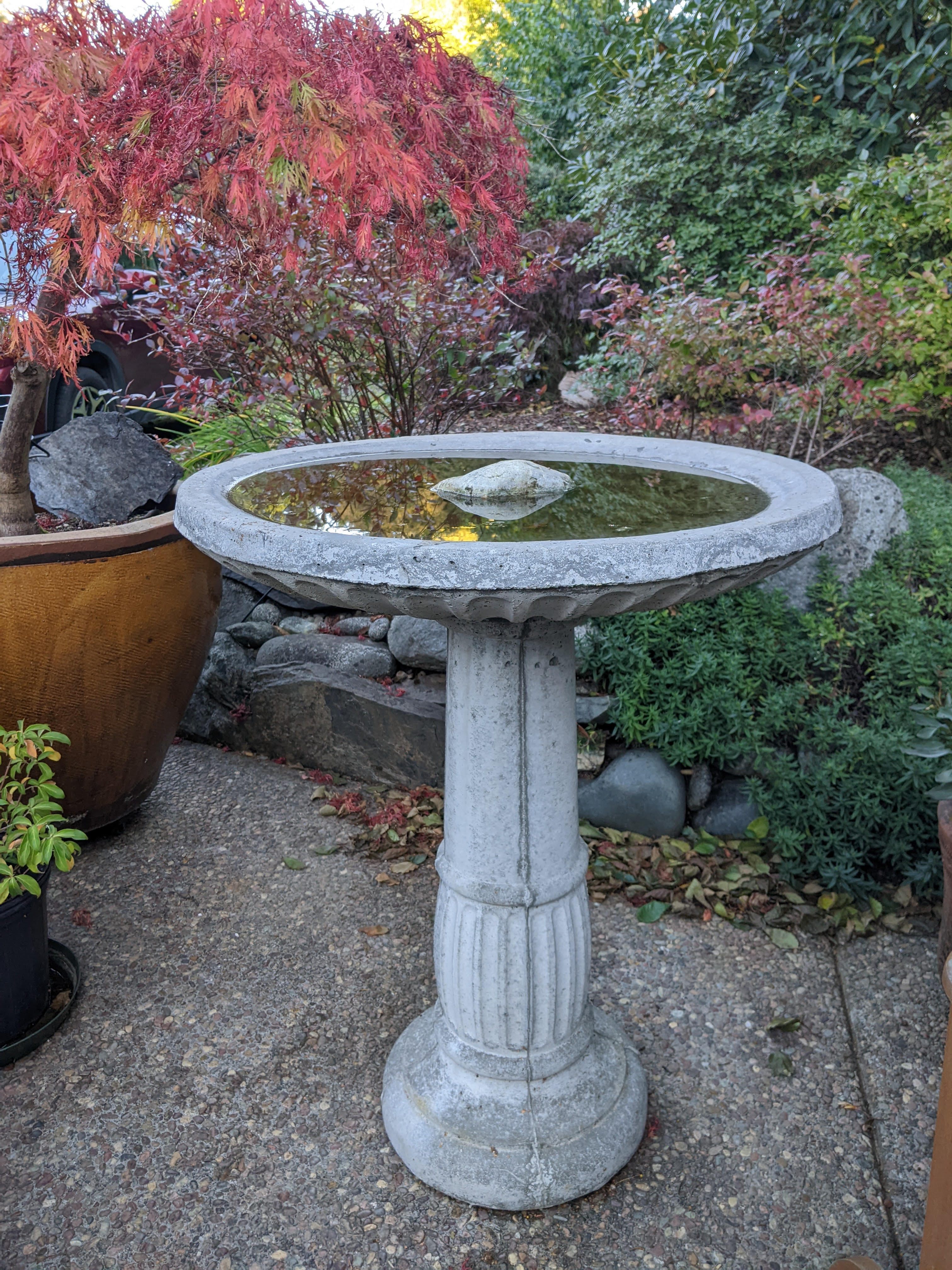 HILFICKER BIRD BATH GIFT CARD Humboldt Botanical Garden