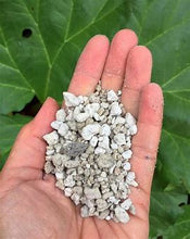 Load image into Gallery viewer, GARDEN PUMICE 1 CU FT - FROM MT.MAZAMA #6