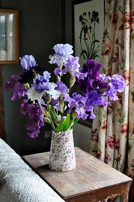 SIMPLY IRIS-ISTIBLE