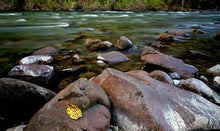 Load image into Gallery viewer, 3 NIGHT STAY ON THE SMITH RIVER
